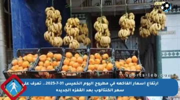 ارتفاع أسعار الفاكهة في مطروح اليوم الخميس 31-7-2025.. تعرف على سعر الكنتالوب بعد القفزة الجديدة